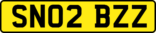 SN02BZZ