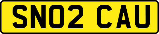 SN02CAU