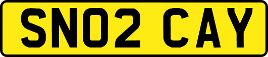 SN02CAY
