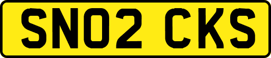 SN02CKS