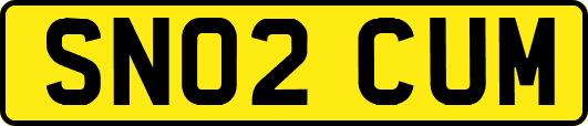 SN02CUM