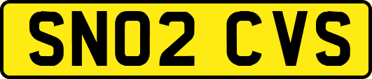 SN02CVS