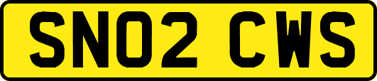 SN02CWS