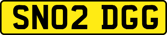 SN02DGG