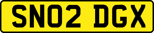 SN02DGX