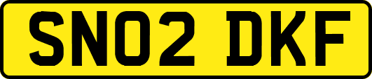 SN02DKF