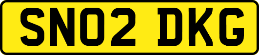 SN02DKG