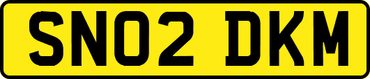 SN02DKM