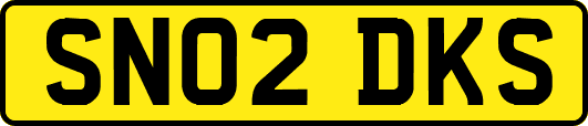 SN02DKS