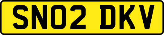 SN02DKV