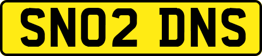 SN02DNS