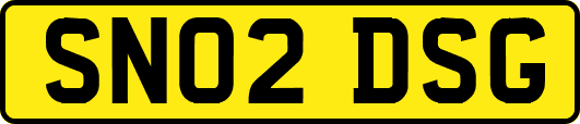 SN02DSG