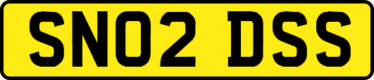 SN02DSS