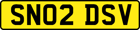 SN02DSV