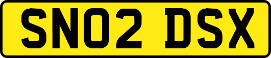 SN02DSX
