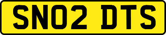 SN02DTS