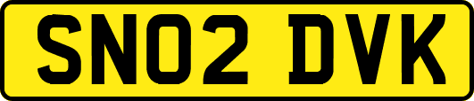 SN02DVK
