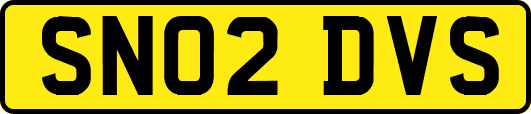 SN02DVS