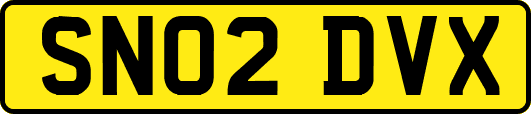 SN02DVX