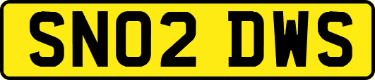 SN02DWS