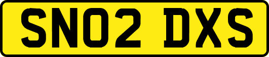 SN02DXS