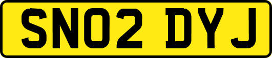 SN02DYJ