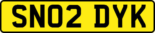 SN02DYK