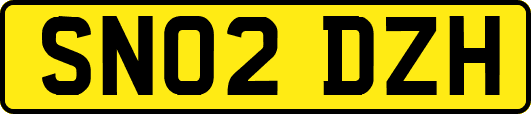 SN02DZH