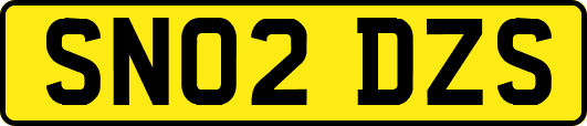 SN02DZS