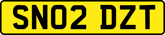 SN02DZT