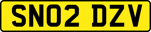 SN02DZV