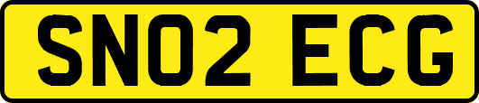 SN02ECG
