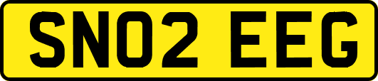 SN02EEG