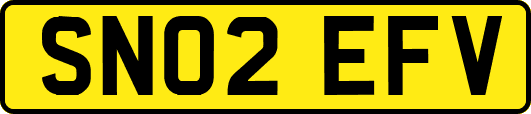 SN02EFV
