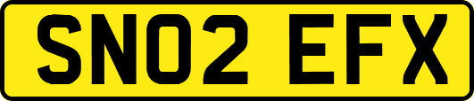 SN02EFX