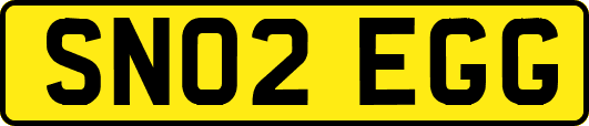 SN02EGG