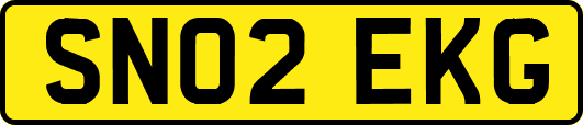 SN02EKG