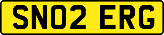SN02ERG