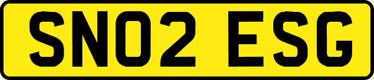 SN02ESG