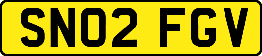 SN02FGV