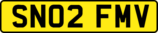 SN02FMV
