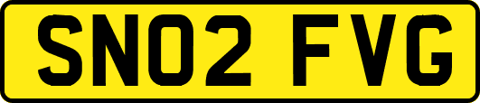 SN02FVG