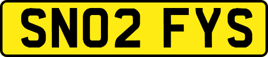 SN02FYS