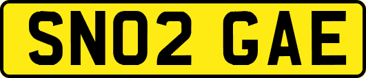SN02GAE