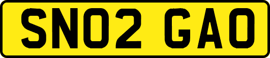 SN02GAO