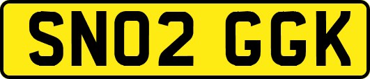 SN02GGK