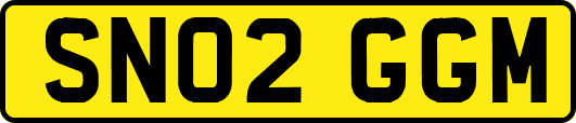 SN02GGM