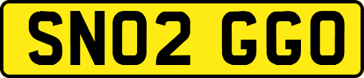 SN02GGO