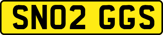 SN02GGS