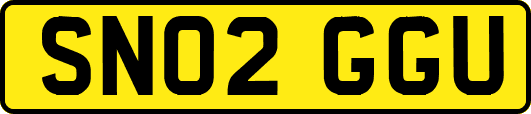 SN02GGU